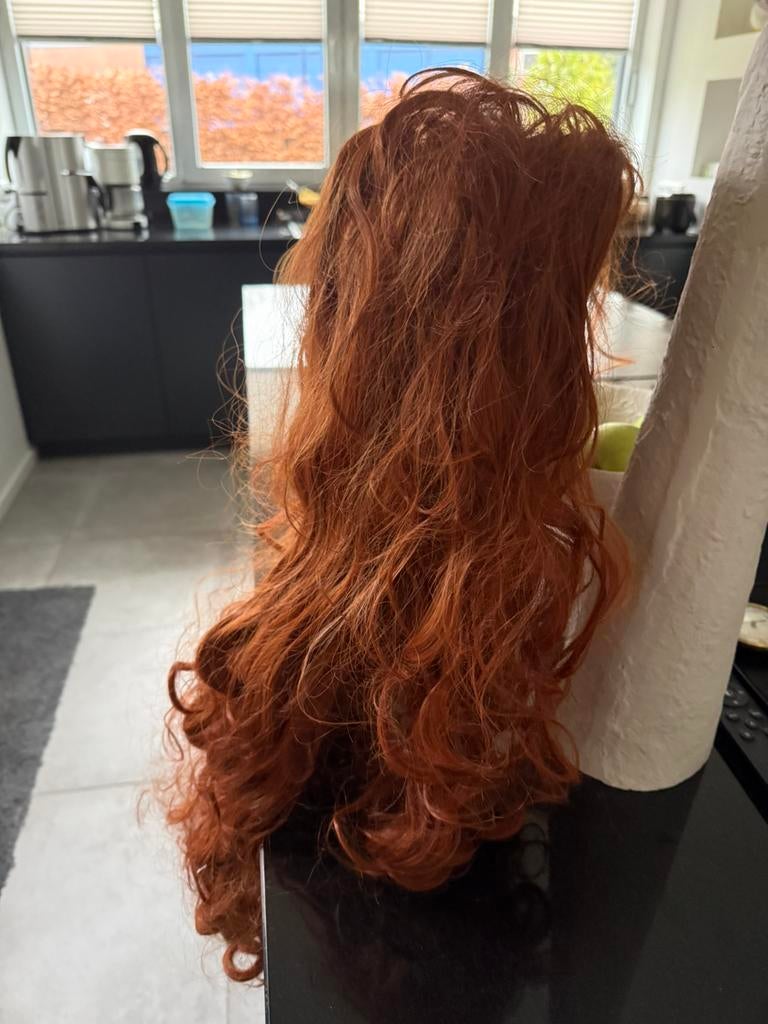 Vastelaovend, Ophalen of Verzenden, Zo goed als nieuw, Carnaval