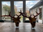 Luxe dierenkop hert/ree L, zgan, losse verkoop, Ophalen of Verzenden, Zo goed als nieuw, Wanddecoratie