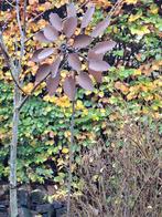Rustieke ijzeren windmolen voor de tuin, Tuin en Terras, Ophalen, Gebruikt