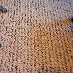 Tapijt/ vloerkleed, Huis en Inrichting, Stoffering | Tapijten en Kleden, Ophalen, Gebruikt, 150 tot 200 cm, 200 cm of meer