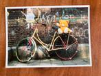 Wil Hakkert. Fiets met Teddybeer, Ophalen of Verzenden, 1960 tot 1980, Ongelopen, Noord-Holland