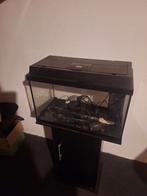 Juwel aquarium, Ophalen of Verzenden, Leeg aquarium