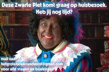 Heb jij tijd voor Sinterklaas en Zwarte Pieten? beschikbaar voor biedingen