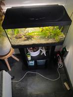 Aquarium 60 Liter., Dieren en Toebehoren, Ophalen, Zo goed als nieuw, Leeg aquarium