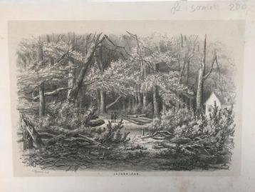 H.W. Last,  Jacobalaan, den haag. Antieke gravure. Mooi! beschikbaar voor biedingen