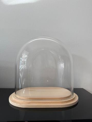 Stolp ovaal S helder glas blank houten plateau beschikbaar voor biedingen