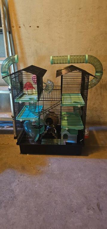 Hamster kooi  beschikbaar voor biedingen