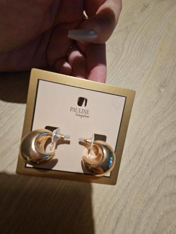 Pauline Wingelaar Oorbellen - Kruidvat Collectie beschikbaar voor biedingen