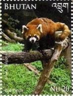 BHUTAN 61 - Dieren: zoogdieren (rode panda), Postzegels en Munten, Postzegels | Thematische zegels, Ophalen of Verzenden, Dier of Natuur