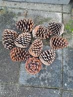 Mooie super grote dennenappels, Diversen, Kerst, Ophalen, Zo goed als nieuw