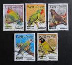 Afghanistan - vogels - Papegaaien - 5 zegels 1999, Dier of Natuur, Ophalen, Gestempeld