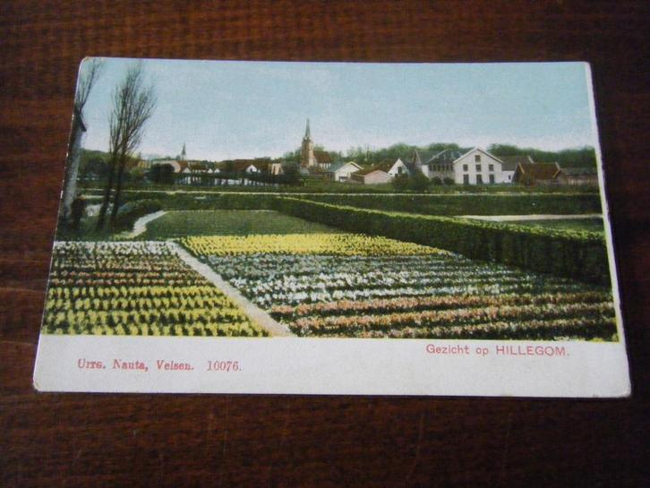 F31 - Hillegom - Bollenvelden - Kerk - Mooi/Oud, Verzamelen, Ansichtkaarten | Nederland, Zuid-Holland, Voor 1920, Verzenden