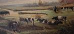 Mooi schilderij
Landschap koeien 116x96x7 cm, Ophalen