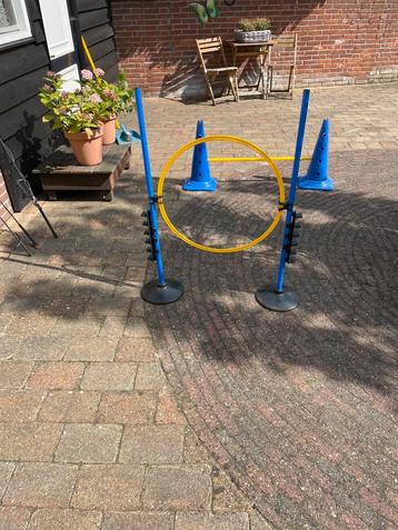 Agility slalomset 12 palen beschikbaar voor biedingen