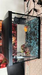 Aquaria, Dieren en Toebehoren, Vissen | Aquaria en Toebehoren, Ophalen, Zo goed als nieuw
