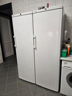 Te koop diepvrieskast Liebherr., Ophalen, Zo goed als nieuw, Vrijstaand