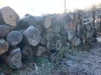 brandhout rondhout dik - Voor de klover met spierballen, 6 m³ of meer, Ophalen of Verzenden, Overige houtsoorten, Stammen