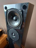 Duson 2202 Hifi Speakerset - Topkwaliteit!, Audio, Tv en Foto, Luidsprekers, Gebruikt, 60 tot 120 watt, Front, Rear of Stereo speakers