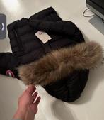 Winter jas Canada goose jas maat 9-10, Ophalen, Nieuw, Meisje