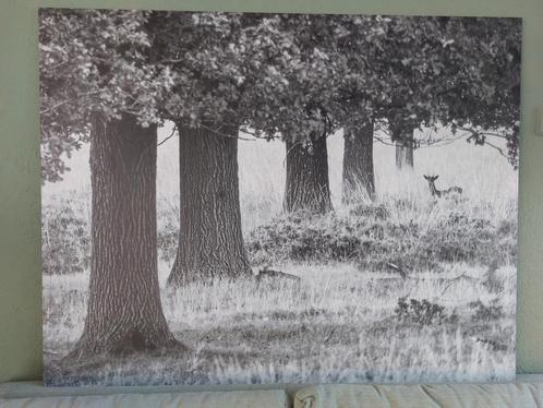 Mooie en rustige wanddecoratie, Huis en Inrichting, Woonaccessoires | Schilderijen, Tekeningen en Foto's, Zo goed als nieuw, Schilderij