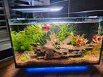 Superfish Quadro 40 multicolor light, Dieren en Toebehoren, Vissen | Aquaria en Toebehoren, Ophalen, Zo goed als nieuw, Leeg aquarium
