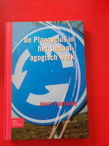 Britt Fontaine - Plancyclus in het sociaal agogisch werk beschikbaar voor biedingen