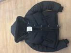Hollister Winterjas - Maat S - Zwart - Nieuw, Kleding | Dames, Jassen | Winter, Zwart, Nieuw, Ophalen of Verzenden, Maat 36 (S)