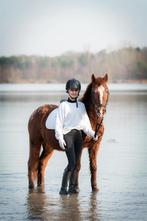 Pony/paard gezocht omgeving Breda, Dieren en Toebehoren, Ophalen of Verzenden, Zo goed als nieuw