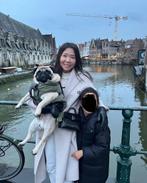 Honden opvang aangboden.