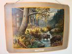 Vintage schoolplaat J.B. Wolters, Antiek en Kunst, Antiek | Schoolplaten, Ophalen, Natuur en Biologie