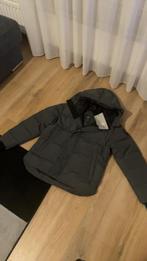Canada Goose Winterjas Grijs - Nieuw, Maat 48/50 (M), Canada Goose, Nieuw, Ophalen of Verzenden