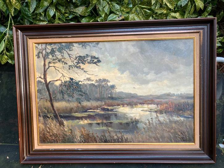 Schilderij Woest Bos, Antiek en Kunst, Kunst | Schilderijen | Klassiek, Ophalen