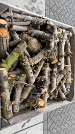 Appelhout Haardhout - Grote Voorraad, Tuin en Terras, Haardhout, 6 m³ of meer, Ophalen of Verzenden, Overige houtsoorten, Takken