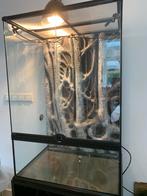 Terrarium / Paludarium 90x60x45 met toebehoren & waterpomp, Dieren en Toebehoren, Ophalen, Zo goed als nieuw, Terrarium of Paludarium