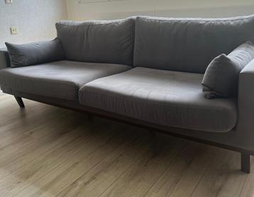 Lichtgrijze 2,5-zits Bank