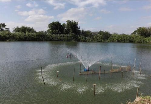 professionele fontein, decoratieve vijver beluchter, Tuin en Terras, Waterpartijen en Fonteinen, Nieuw, Fontein, Rvs, Ophalen of Verzenden