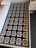 Twee verstelbare bedden: Bedbodems / schotelbodems, Ophalen, Eenpersoons, 90 cm