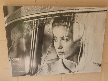 Deneuve of Bardot?  beschikbaar voor biedingen