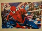 Spiderman Poster, Ophalen, Rechthoekig Staand, Zo goed als nieuw, A1 t/m A3