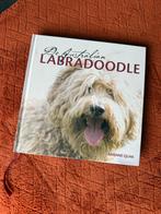 De australian labradoodle, Ophalen, Zo goed als nieuw