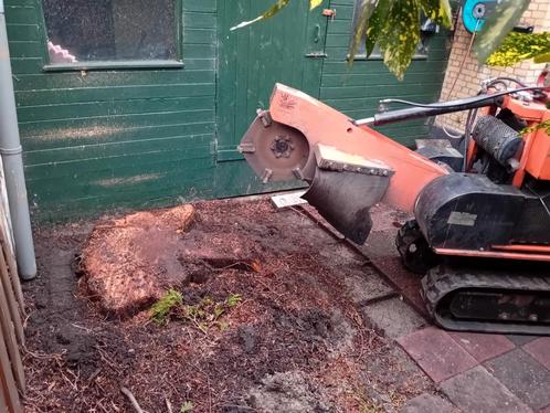 Boomstronk verwijderen/ stronken en stobbenfrezen, Diensten en Vakmensen, Tuinmannen en Stratenmakers, Garantie