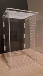 Terrarium voor insecten, bidsprinkhaan/springspin, Dieren en Toebehoren, Overige soorten