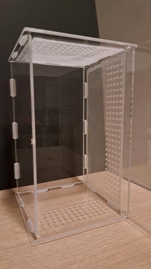 Terrarium voor insecten, bidsprinkhaan/springspin, Dieren en Toebehoren, Insecten en Spinnen, Overige soorten