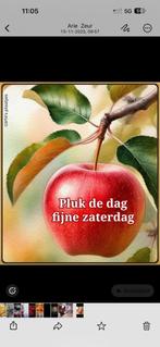 Speakers, Gebruikt, Overige typen, 120 watt of meer, Ophalen