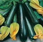 Zaden van Courgette Black Beauty., Tuin en Terras, Bloembollen en Zaden, Ophalen of Verzenden, Voorjaar, Zaad, Volle zon