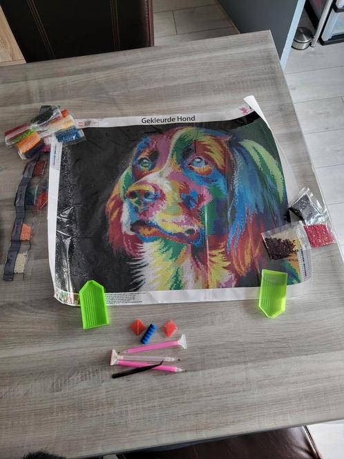 Diamond painting gekleurde hond 40x50 cm rand gemaakt, Hobby en Vrije tijd, Knutselen, Zo goed als nieuw, Ophalen of Verzenden
