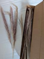 Droogbloemen, pampas, Huis en Inrichting, Ophalen of Verzenden, Zo goed als nieuw