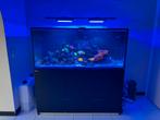 Complete Red Sea Reefer-S 700 –met techniek en levende haven, Dieren en Toebehoren, Ophalen, Zo goed als nieuw, Gevuld zeewateraquarium
