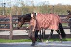Harry s horse Rijbroek Ladis Full Grip, Ophalen of Verzenden, Nieuw, Dressuur, Onderkleding