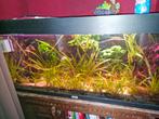 Aquarium juwel, compleet, 1 meter breed, Dieren en Toebehoren, Vissen | Aquaria en Toebehoren, Ophalen, Gebruikt, Gevuld zoetwateraquarium